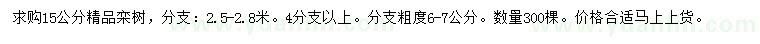 求購15公分欒樹