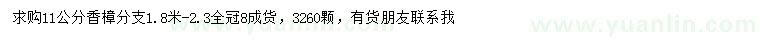 求購11公分香樟