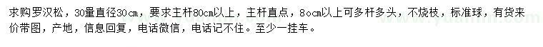 求購30量直徑30公分羅漢松
