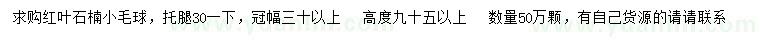 求購30公分以上紅葉石楠小毛球