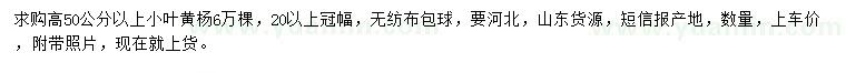 求購(gòu)高50公分以上小葉黃楊