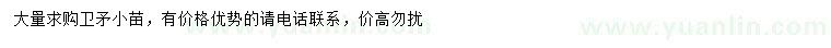 求購(gòu)衛(wèi)矛小苗