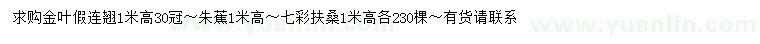 求購金葉假連翹、朱蕉、七彩扶桑