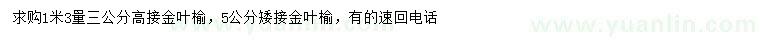 求購(gòu)1.3米量3公分高接金葉榆、5公分矮接金葉榆