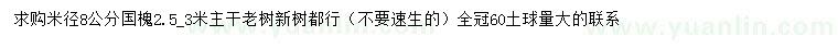 求購米徑8公分國槐