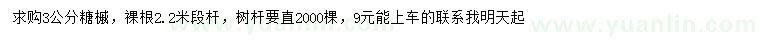 求購3公分糖槭