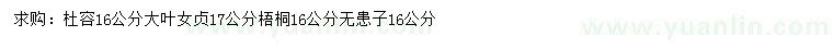 求購杜容、大葉女貞、梧桐