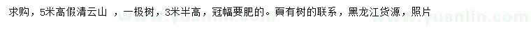 求購高5米假清云山 