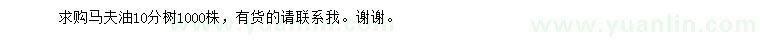 求購10公分馬夫油樹