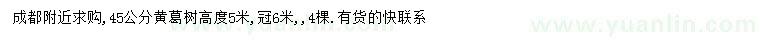 求購45公分黃葛樹