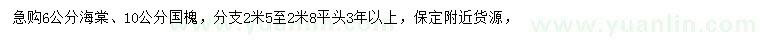 求購6公分海棠、10公分國槐