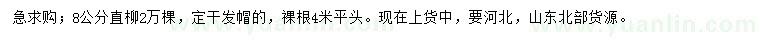 求購8公分直柳