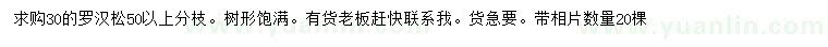 求購30公分羅漢松