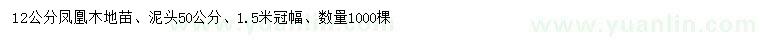求購12公分鳳凰木