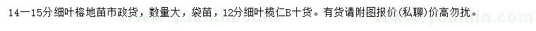 求購14-15公分細(xì)葉榕、12公分細(xì)葉欖仁