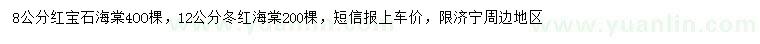 求購8公分紅寶石海棠、12公分冬紅海棠