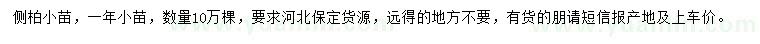 求購側柏小苗