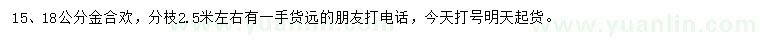 求購15、18公分金合歡