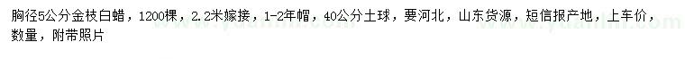 求購(gòu)胸徑5公分金枝白蠟