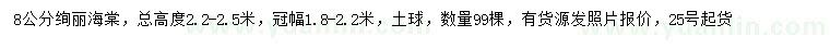 求購8公分絢麗海棠