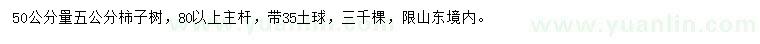 求購50量5公分柿子樹