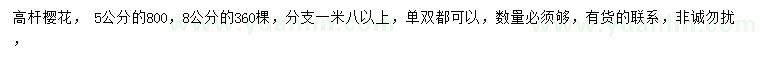 求購5、8 公分櫻花