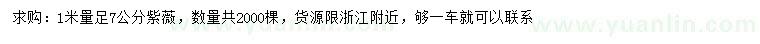 求購(gòu)1米量足7公分紫薇