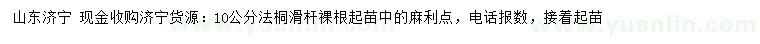 求購10公分法桐