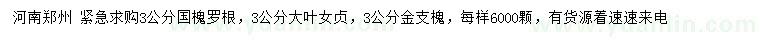 求購國(guó)槐、大葉女貞、金枝槐