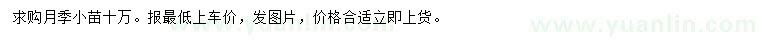 求購月季小苗