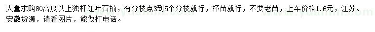 求購高80公分以上獨桿紅葉石楠
