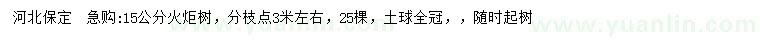求購15公分火炬樹