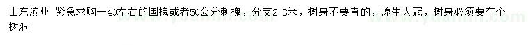 求購(gòu)40公分左右國(guó)槐、50公分刺槐