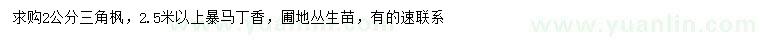 求購(gòu)2公分三角楓，2.5米以上暴馬丁香