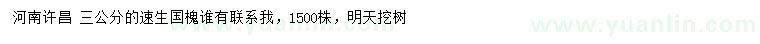 求購(gòu)3公分速生國(guó)槐