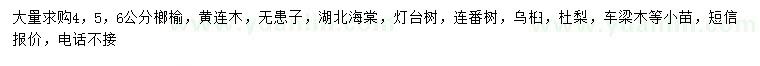 求購榔榆、黃連木、無患子等
