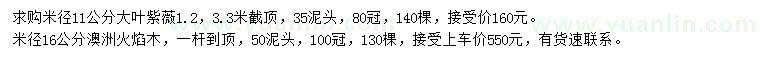 求購米徑11公分大葉紫薇、16公分澳洲火焰木