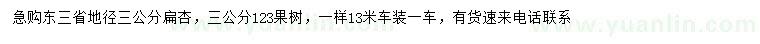 求購地徑3公分扁杏、123果樹