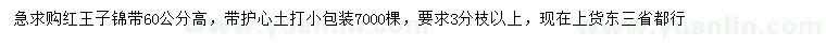 求購(gòu)高60公分紅王子錦帶