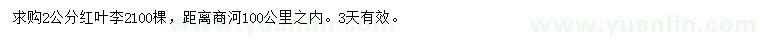 求購2公分紅葉李