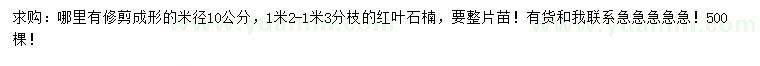 求購米徑10公分紅葉石楠
