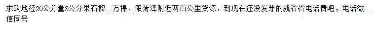 求購地徑20公分量3公分果石榴
