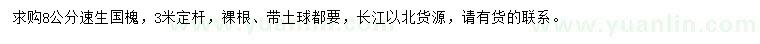 求購8公分速生國槐