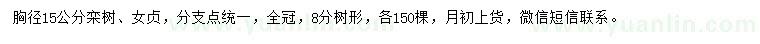 求購(gòu)胸徑15公分欒樹、女貞