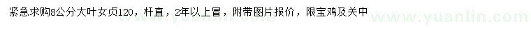 求購(gòu)8公分大葉女貞