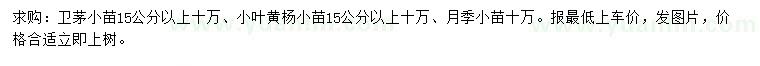 求購衛(wèi)矛小苗、小葉黃楊小苗、月季小苗