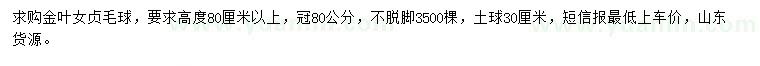 求購高80公分金葉女貞毛球