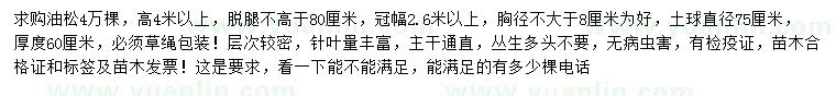 求購高4米以上油松