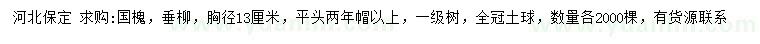 求購胸徑13公分國槐、垂柳