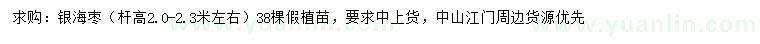 求購桿高2-2.3米左右銀海棗